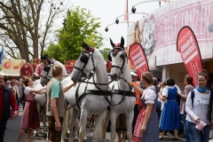 glo_urfahrmarkt_2017_44