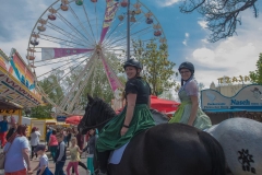 2017_05_granitland_urfahranermarkt_08